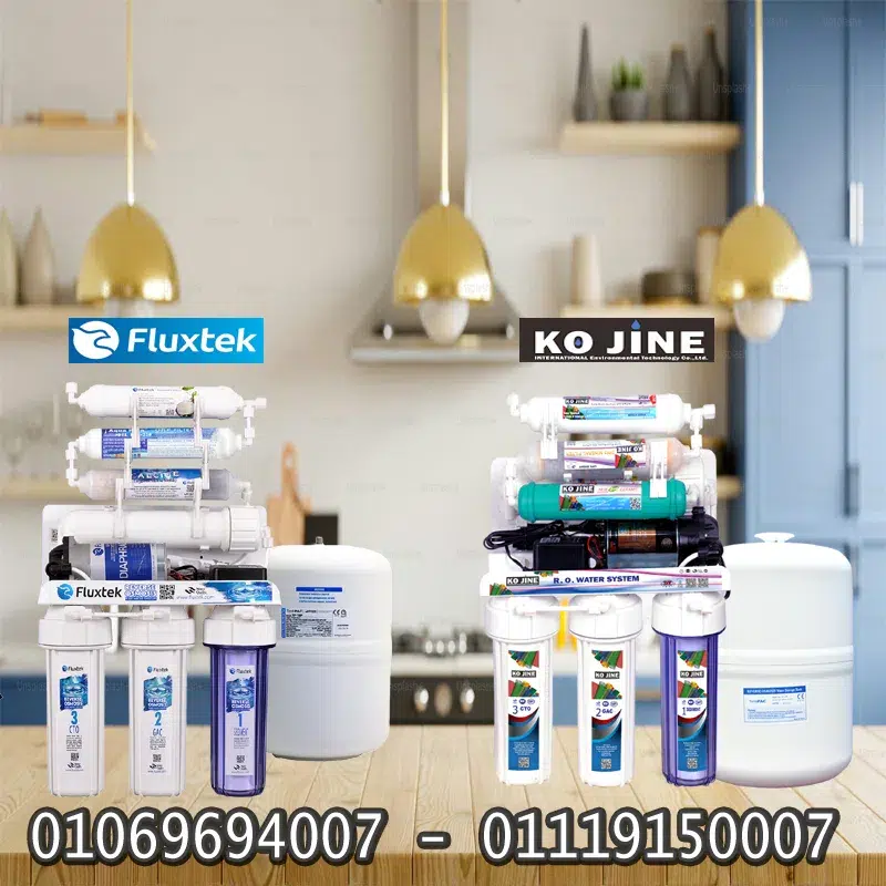 فلوكستك-و-كوجين